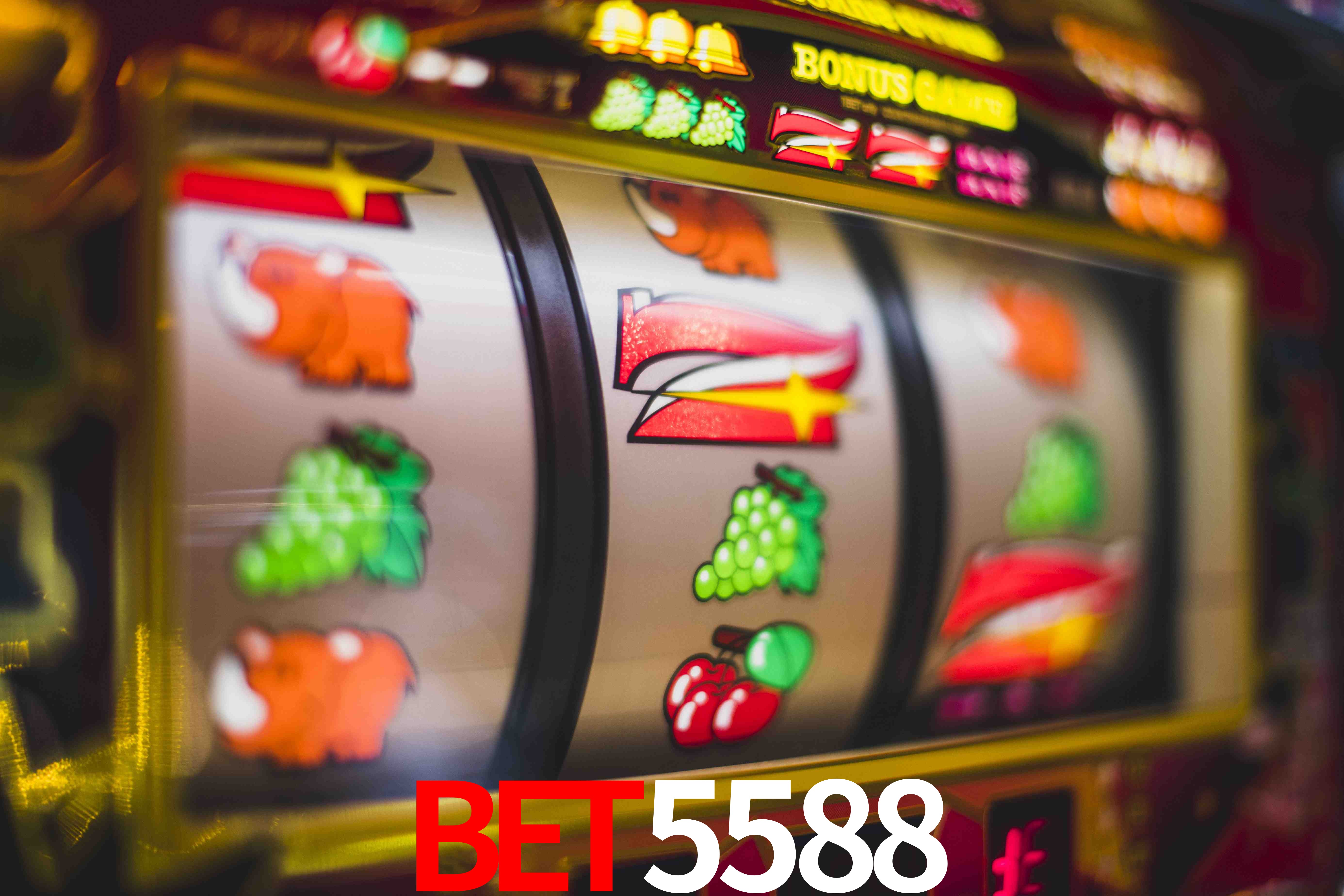 Tennis Betting BET5588